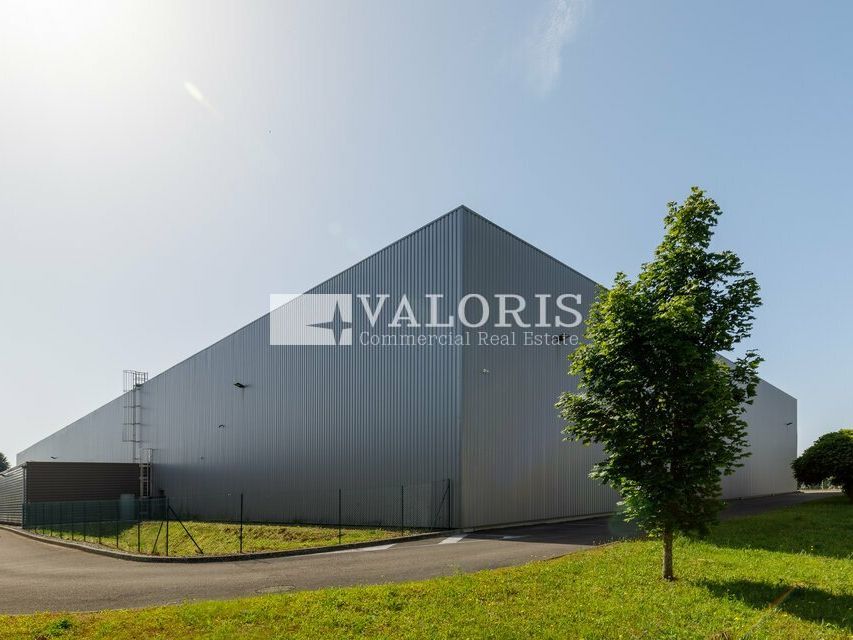 Location local d''activites 9623 m² non divisibles