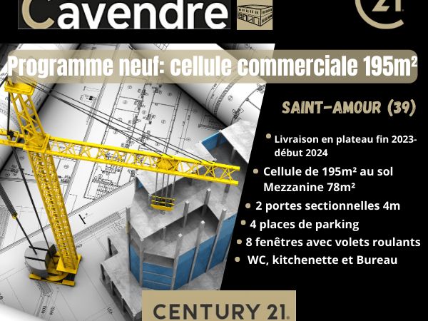 Vente local 195.00 m² à SAINT AMOUR