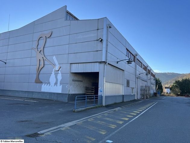 Location entrepôts 7471 m² non divisibles