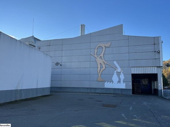 Location entrepôts 7471 m² non divisibles