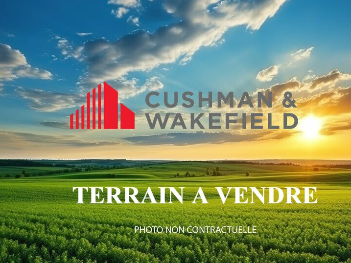 Vente terrain 200000 m² divisibles à partir de 20000 m²