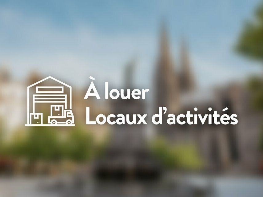 Location local d''activites 1175 m² non divisibles