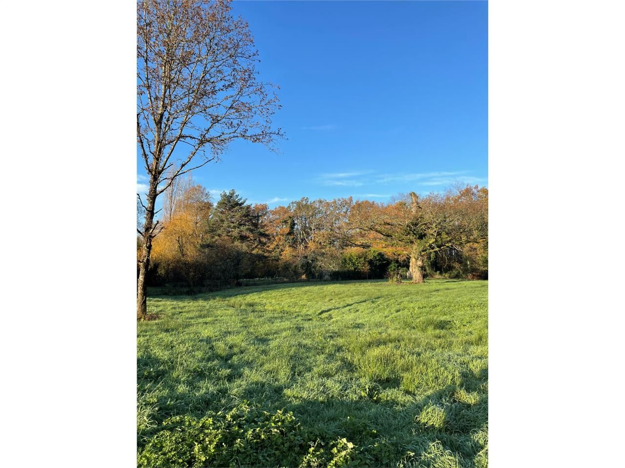 Vente terrain 4820.00 m² à PANAZOL