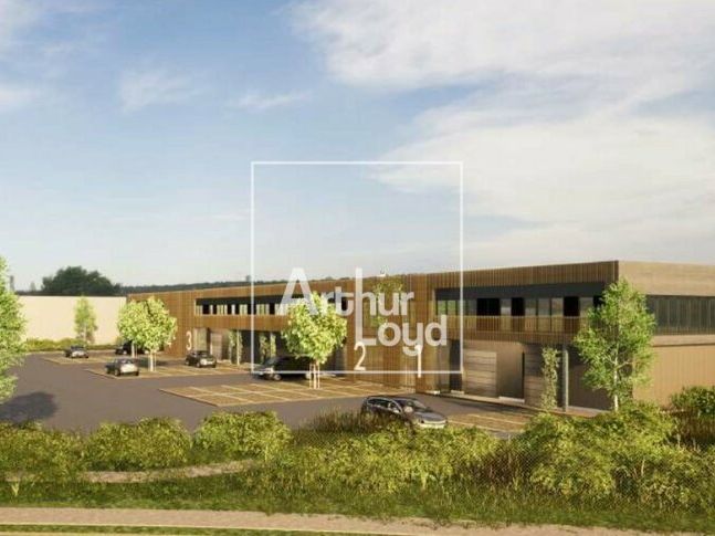 BRIE COMTE ROBERT - RARE SUR SECTEUR