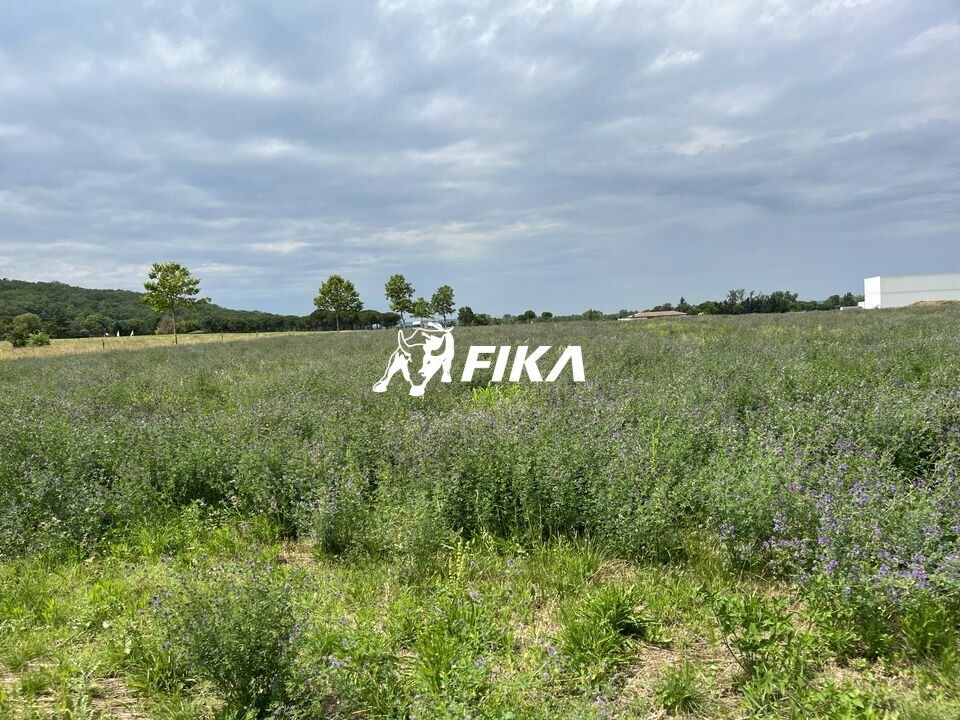 A VENDRE TERRAIN 20 000 m² - (81500) LAVAUR