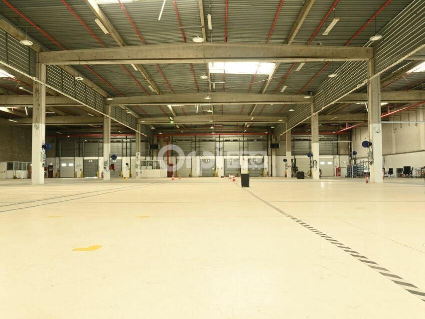 Location entrepot 3688 m² non divisibles