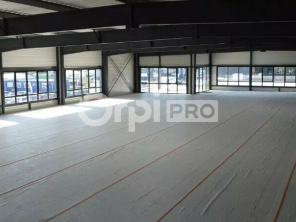 Location local d''activites 2000 m² non divisibles