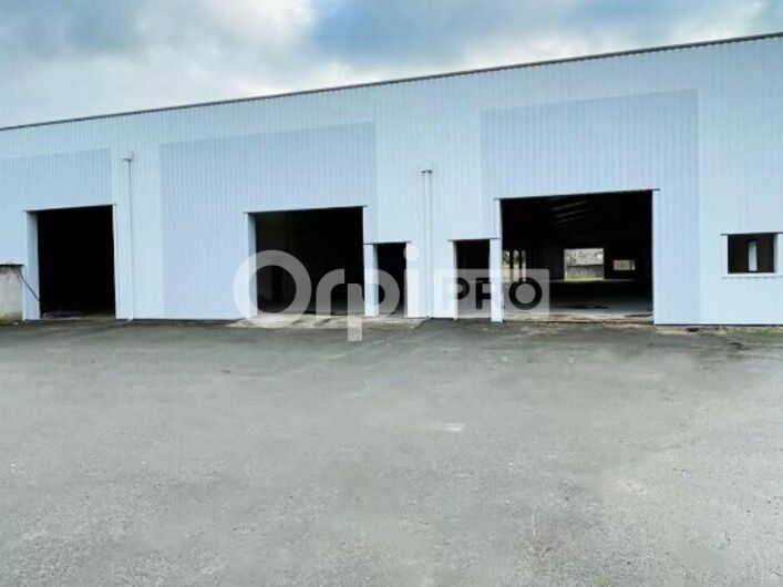 LOCAL D'ACTIVITE A VENDRE - 1 600 m² DIVISIBLE - BELLEVILLE EN BEAUJOLAIS