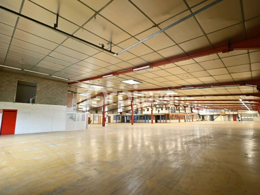 LOCAL D'ACTIVITE A LOUER / A VENDRE - 3 200 m² - RILLIEUX LA PAPE