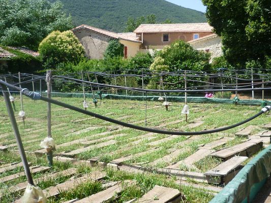 Vente entrepôts 410 m² non divisibles