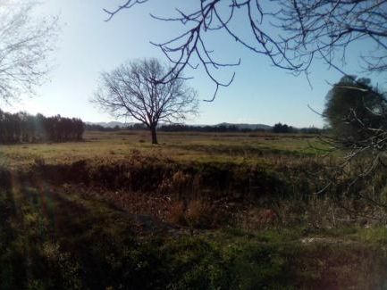 Vente terrain 43000 m² divisibles à partir de 13000 m²