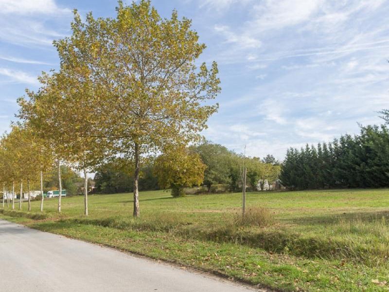 Vente terrain 7000 m² non divisibles