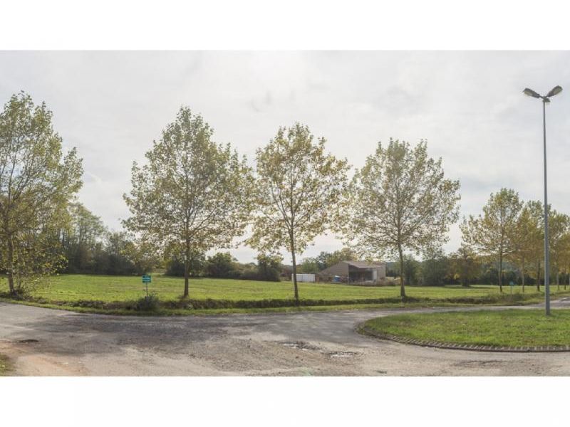 Vente terrain 7000 m² non divisibles