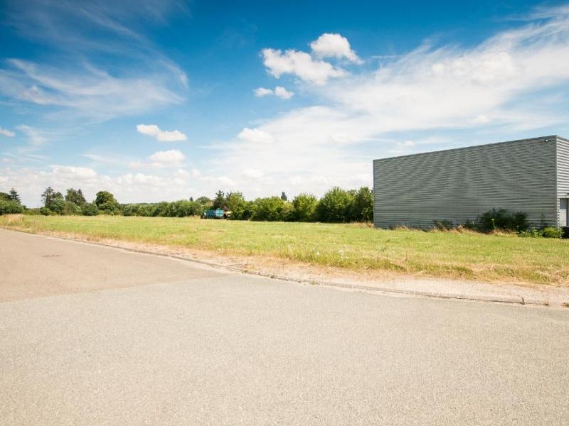 Vente terrain 10000 m² divisibles à partir de 1000 m²