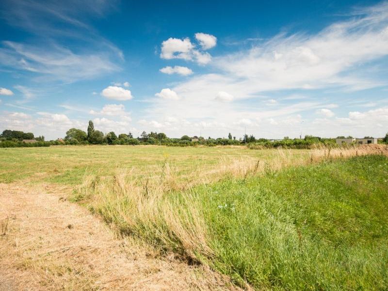 Vente terrain 10000 m² divisibles à partir de 1000 m²