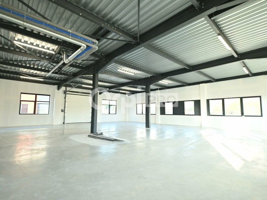 LOCAL D'ACTIVITE A LOUER - 340 m² - DARDILLY