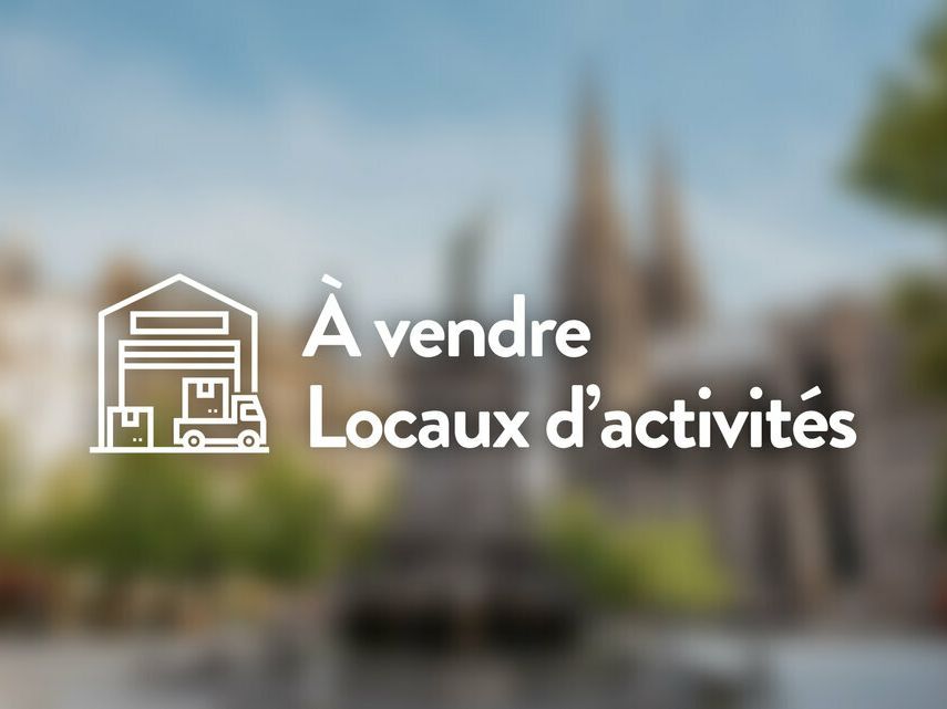 Vente local d''activites 871 m² non divisibles