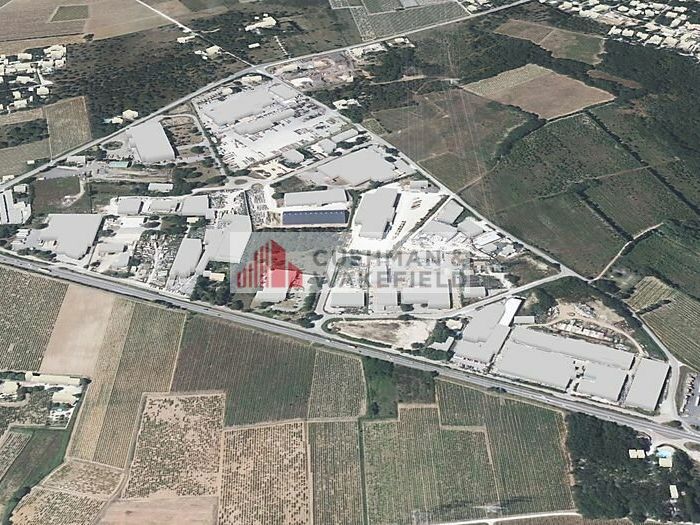 Vente terrain 10004 m² non divisibles