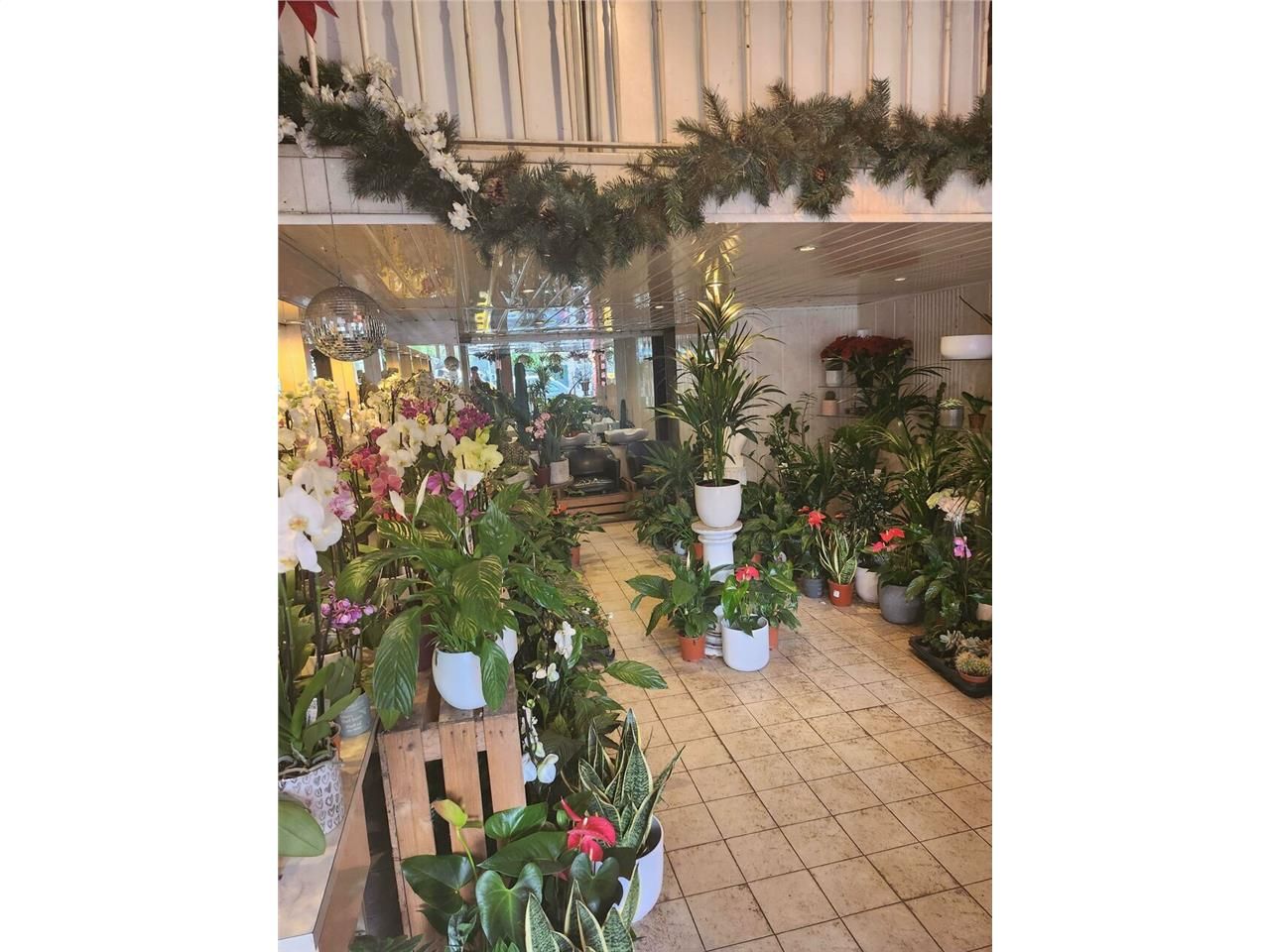 Murs libres a vendre avec grand linéaire vitrine