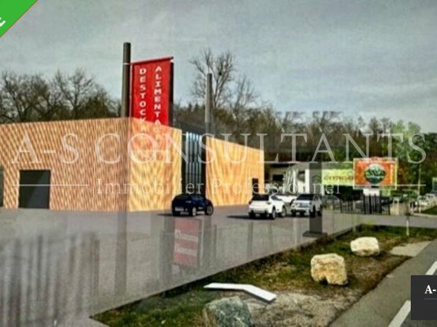 A louer, Saint-Genis-Laval (69230), sud-ouest de Lyon sur un axe très fréquenté,  2 emplacements commerciaux de 370 m² au sol chacun + mezzanines - (réunion possible des 2 lots) - terrain bitumé, parkings, visibilité numéro 1 - enseignes à proximité.