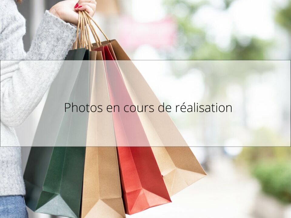 Vente local commercial 300 m² non divisibles