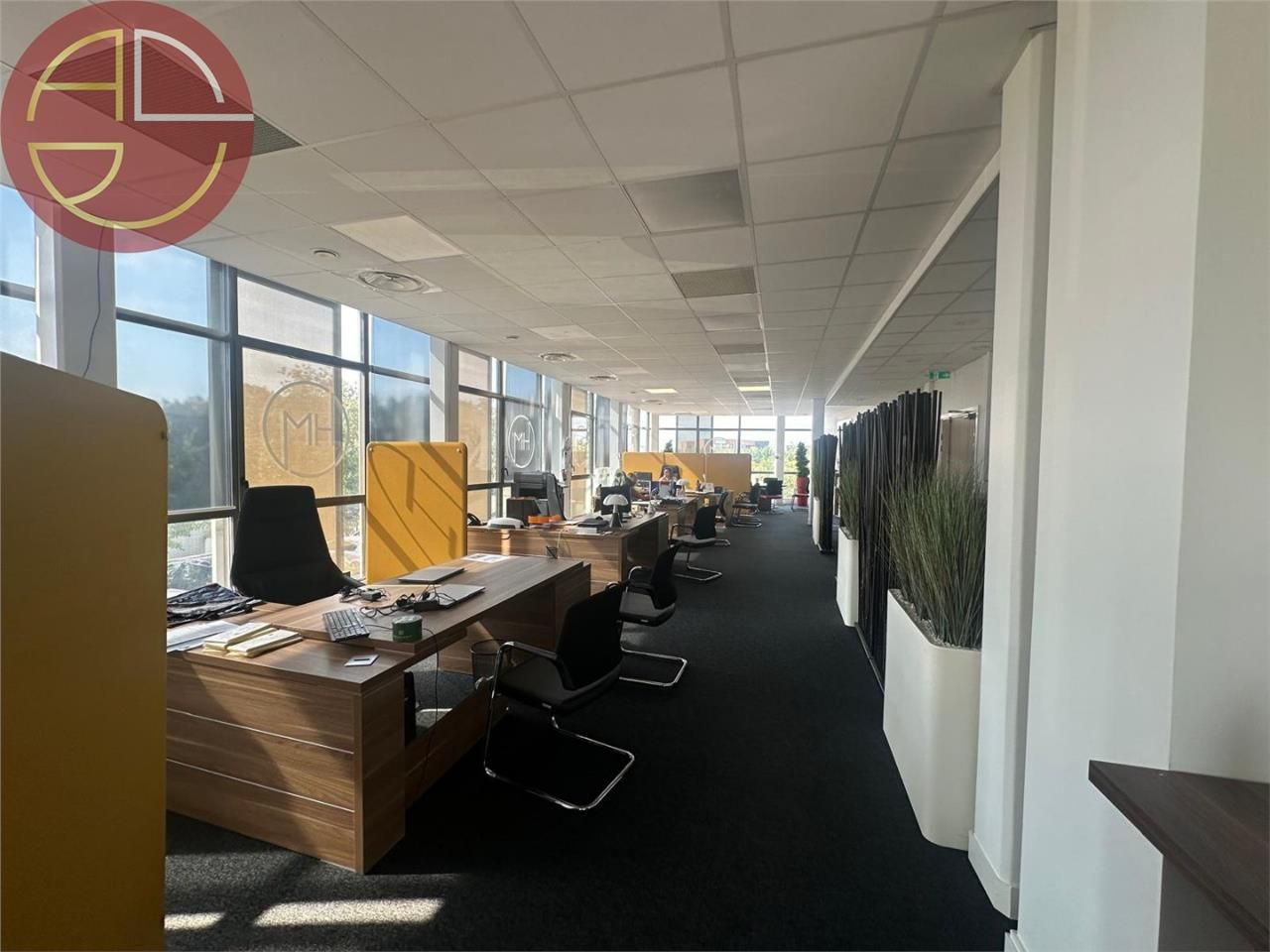 Location bureaux 146 m² à COLOMIERS
