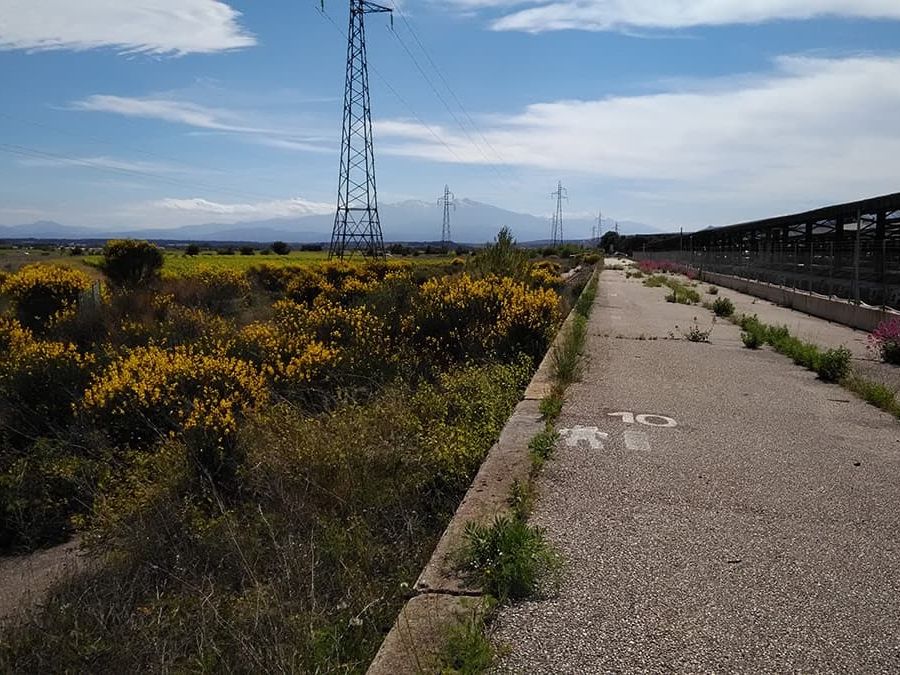 Vente terrain 430000 m² non divisibles