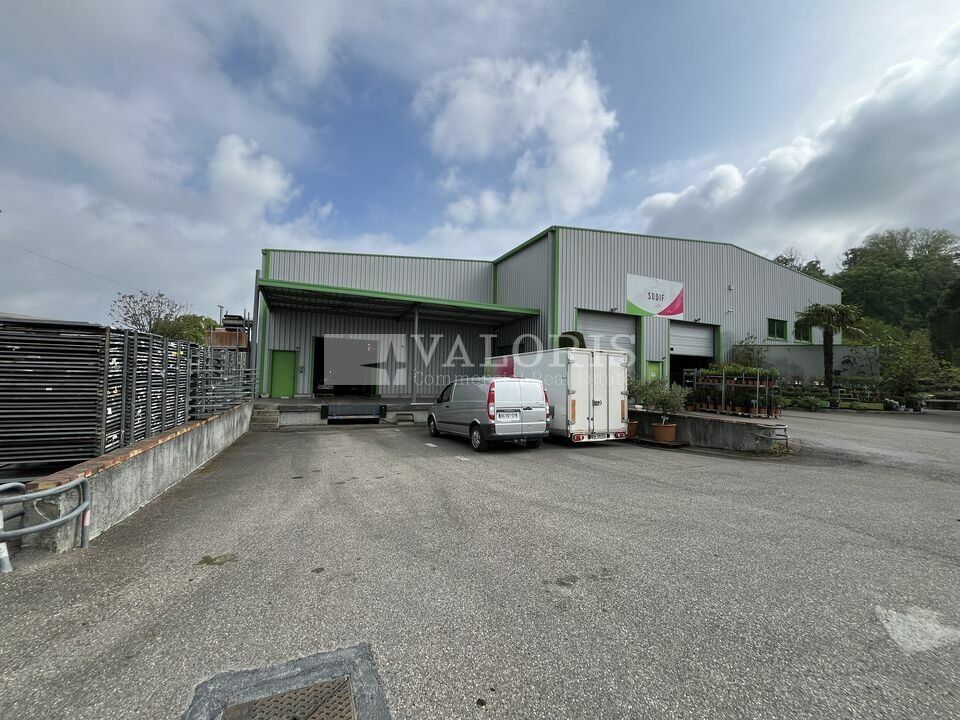 Location local d''activites 617 m² non divisibles