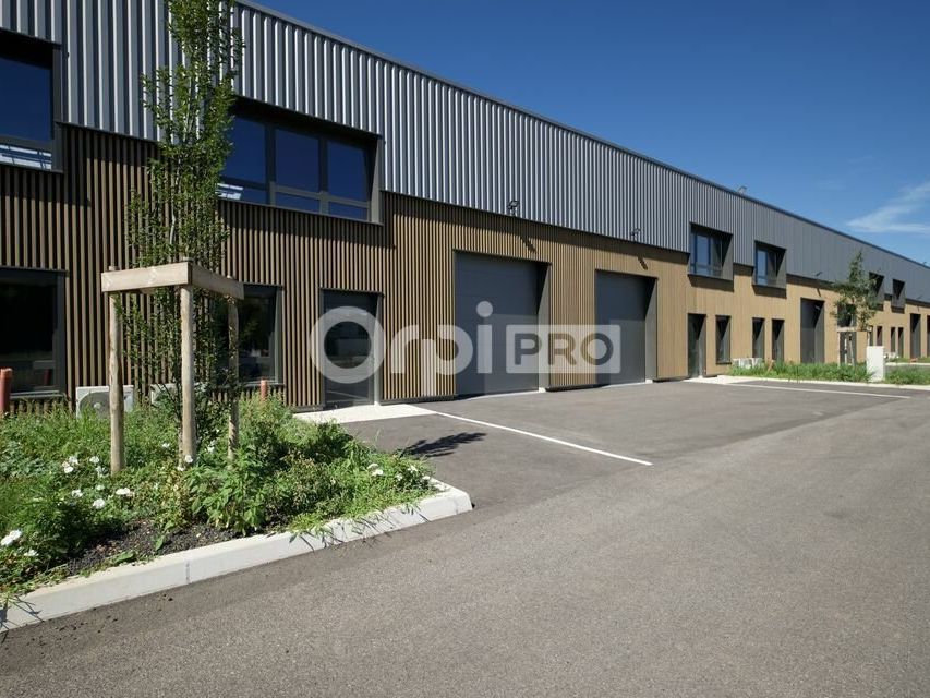 Location local d''activites 767 m² divisibles à partir de 177 m²
