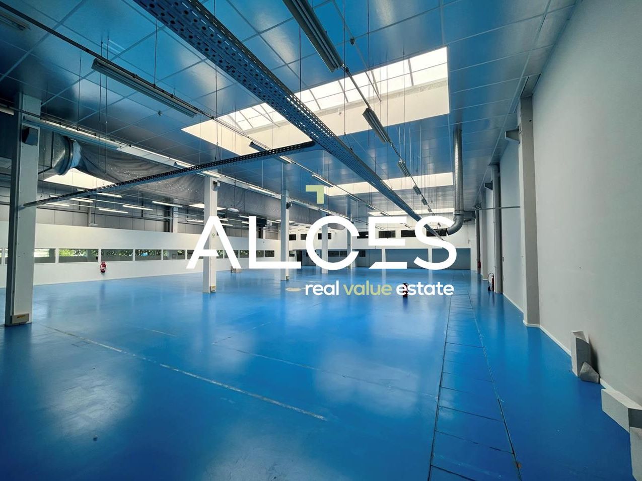 Capture d’écran 2025-05-22 à 11.00.51