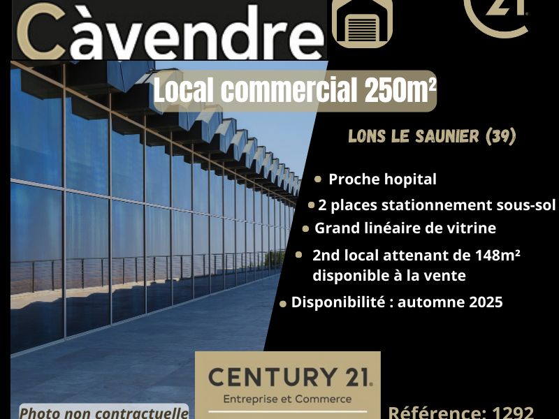 Vente local commercial 250.00 m² à LONS LE SAUNIER