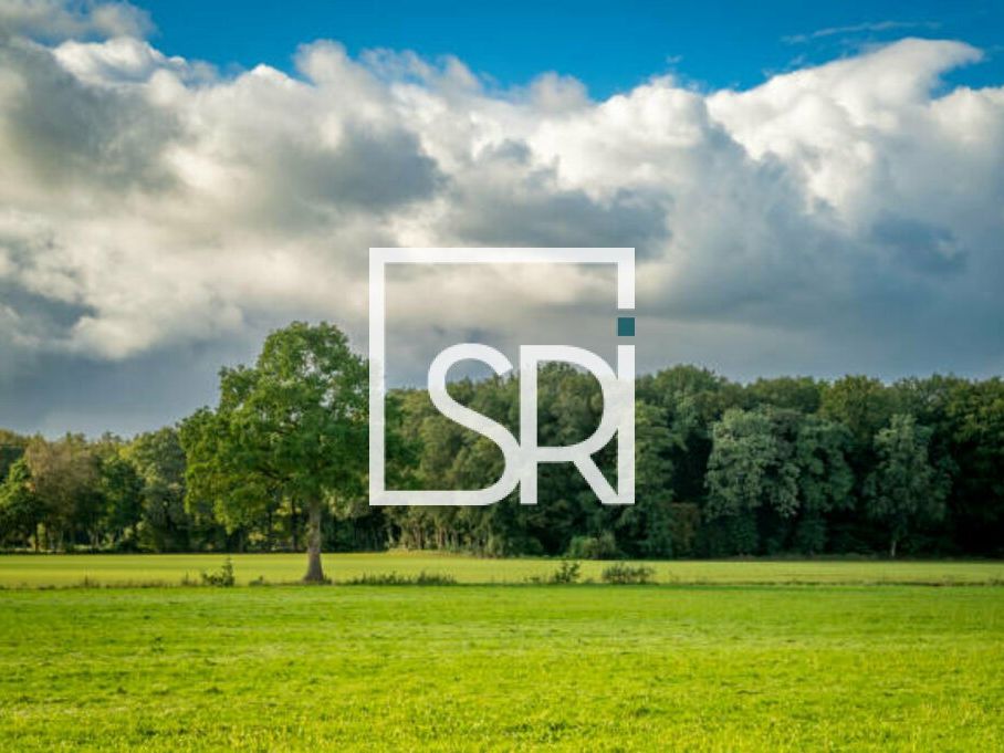 Vente terrain 1237 m² non divisibles