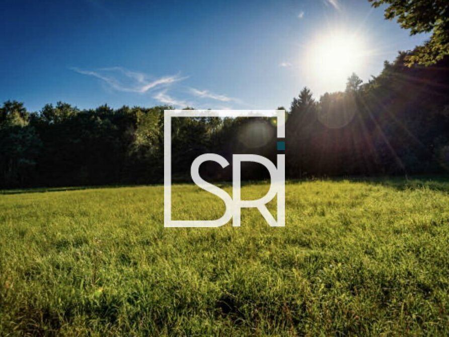 Vente terrain 14000 m² non divisibles