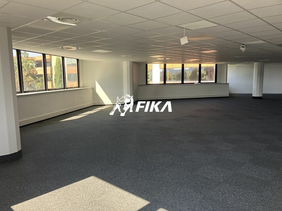 A LOUER BUREAUX - 738 m² (31700) BLAGNAC