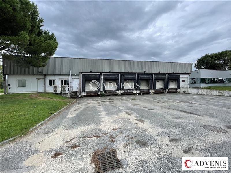 Location local d''activites 2500 m² non divisibles