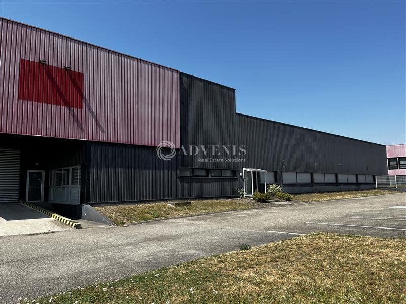 Entrepôt à louer avec accès direct aux axes routiers - ZI Sud - Illkirch-Graffenstaden