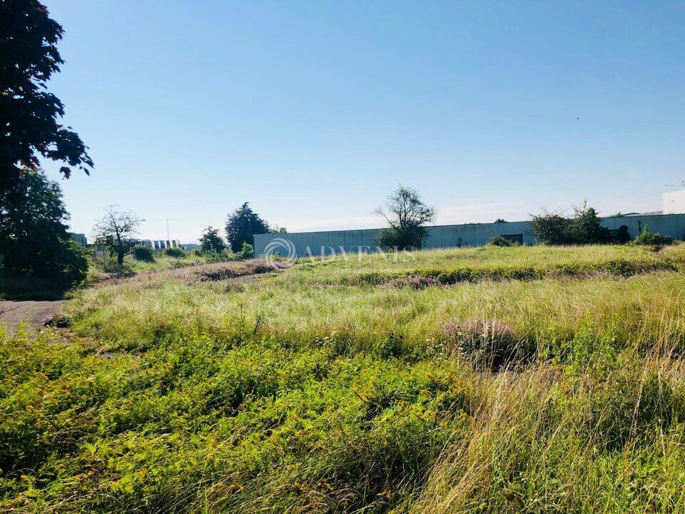 Location local d''activites 4000 m² divisibles à partir de 1000 m²