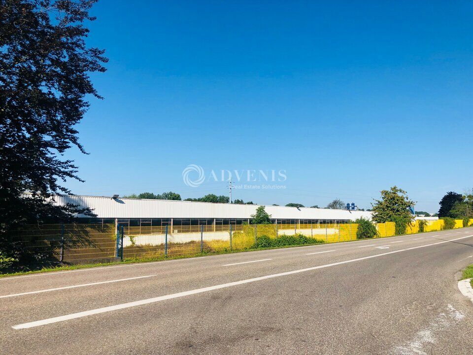 Projet de location clé en main (BEFA) - Zone Nord - Brumath