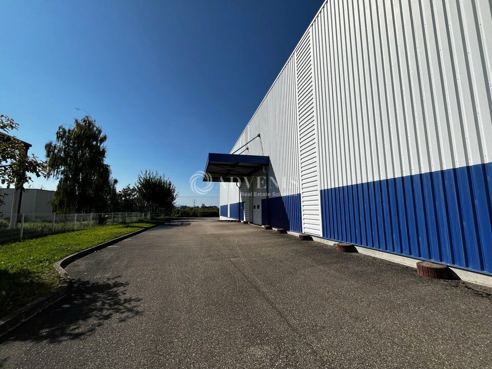 Bâtiment d'activité indépendant à louer - ZA LA Vigie - Ostwald