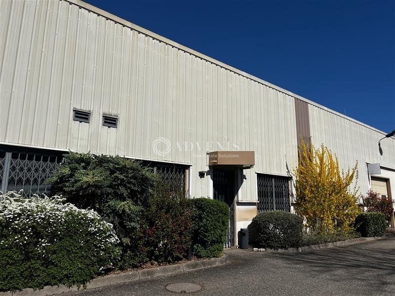 Local d'activité avec bureaux à louer - ZA du Mittelfeld - Schiltigheim