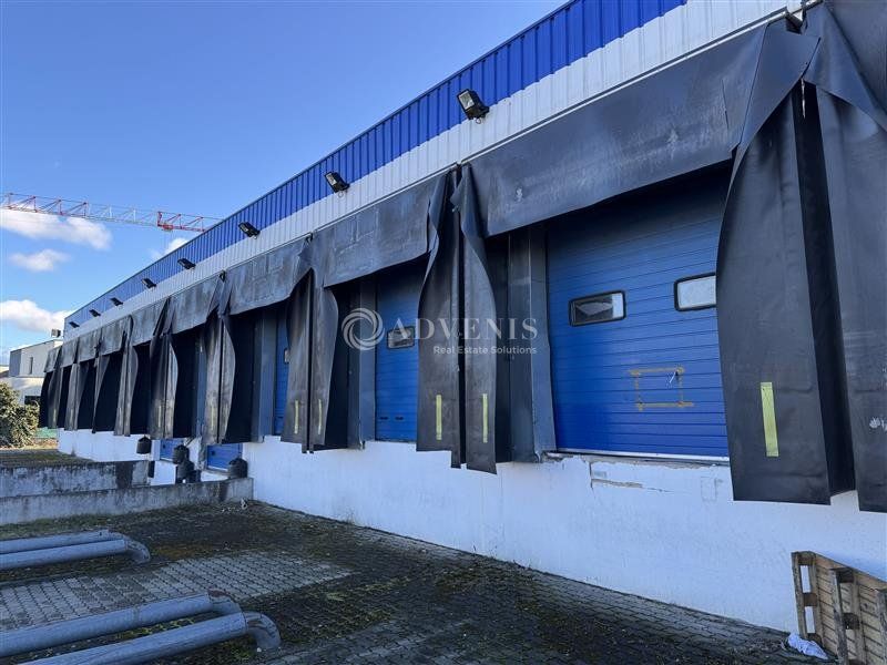 Bâtiment indépendant à usage de messagerie ou autre activité de stockage à louer - Zone d'Activités - Souffelweyersheim