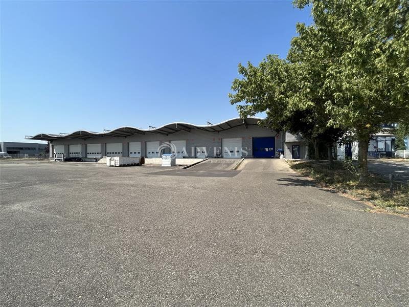 Location entrepot 2994 m² non divisibles