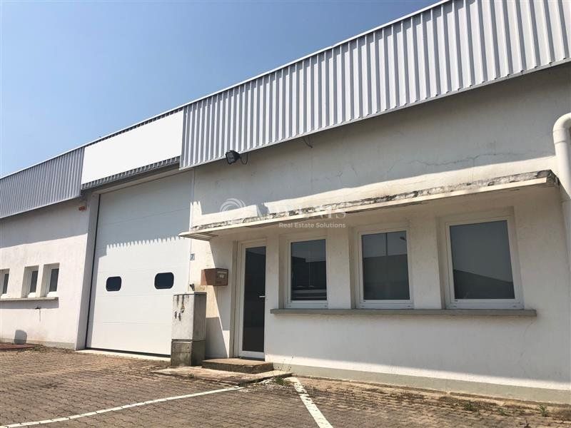 Local d'activité à louer - ZAC des Maréchaux - Mundolsheim