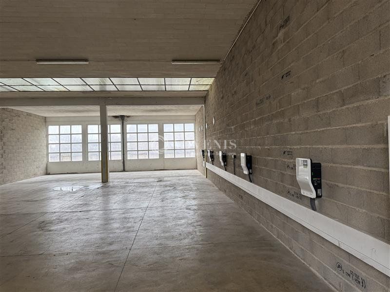 Local à usage d'activité et de stockage à louer - Meinau/Plaine des Bouchers - Strasbourg