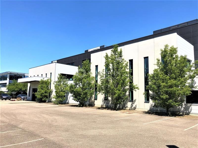 Location local d''activites 379 m² divisibles à partir de 134 m²