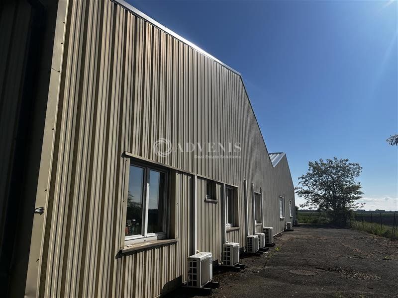 Location local d''activites 1002 m² divisibles à partir de 1002 m²