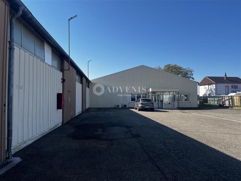 Local d'activités et de stockage à louer - Parc d'Activités - Duttlenheim