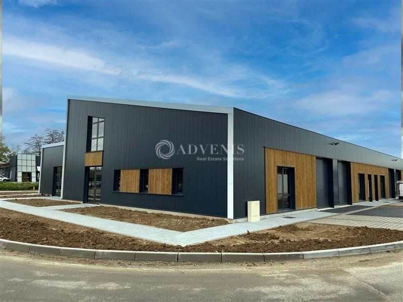 Cellule d'activité neuve à louer - Parc du Wiesel - Geispolsheim