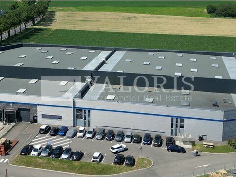 À LOUER – Plateforme logistique fonctionnelle à Corbas