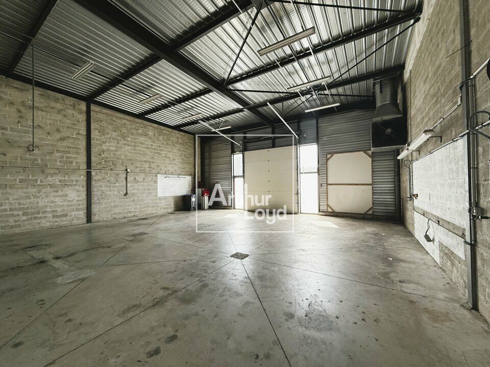 BRIE COMTE ROBERT - PETITE SURFACE